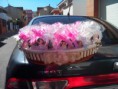 /products/regalitos-para-celebraciones/